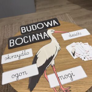 BUDOWA BOCIANA |BONUS: SCENARIUSZ LEKCJI|