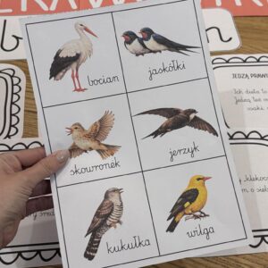 PTAKI WRACAJĄCE NA WIOSNĘ